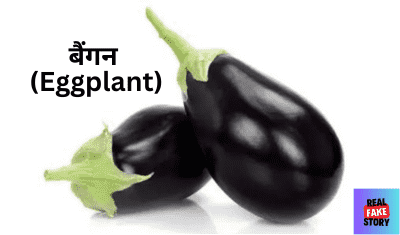 बैंगन (Eggplant)