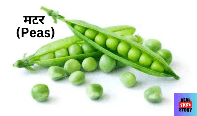 मटर (Peas)