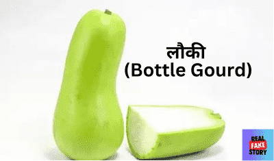 लौकी (Bottle Gourd)