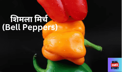 शिमला मिर्च (Bell Peppers)